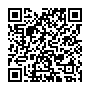 人类发明的那种可以在天上飞的那种机器就叫做飞机二维码生成