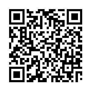 人类和一些大鸟就把他们变成了腹中美餐二维码生成