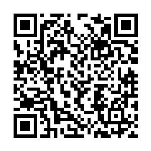 人类和不死军团方面的死亡数量也越来越多的时候二维码生成