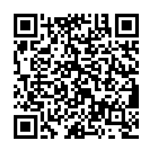 人类在这几十年间达到了单体星球上的碳基智慧生命二维码生成