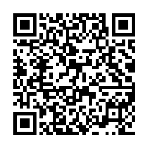 人类始祖已经是达到了历来人类所能达到的极限二维码生成