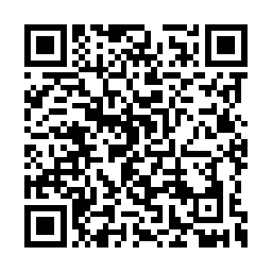 人类就是这样一种随时随地都要自相残杀的种族二维码生成
