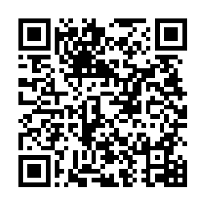 人类文明还能一口气得到亿万年间上百代古文明的传承二维码生成