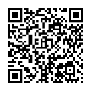 人类无法消化的大骨头对它们来说就是美味的排骨二维码生成