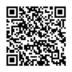 人类根本就没把丧尸看成是可以和他们平等生命二维码生成