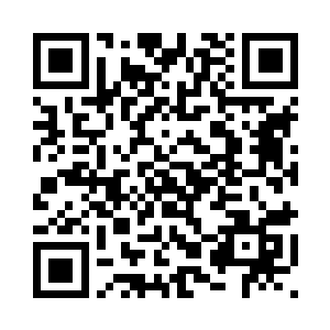 人类生物的生命值在没有护甲之前二维码生成