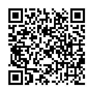 人类的生物学发展就是依靠这么几百个人来进行的二维码生成