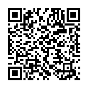 人类的空军也就是凭着导弹才勉强和鸟类尸兄打个平手二维码生成