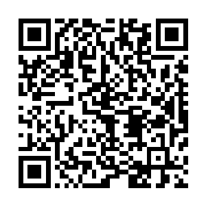 人类的遗传特征及任何疾病都是由极微的基因片段来决定的二维码生成