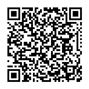 人类萌生于心中的爱的花朵就像被关进黑暗中的房子里一样日渐枯萎二维码生成