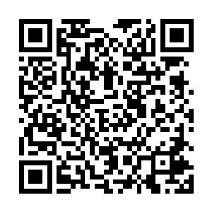 人群中哪位跟朱平安住在同一船舱的老伯认出了朱平安二维码生成