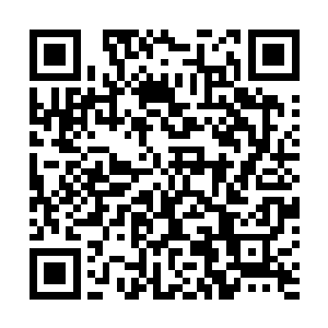 人脉的扩充之后经纪人能够施展拳脚的空间也得到了扩张二维码生成