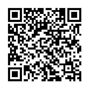 人被笼子的重量拖到了一百多米的水下那哪里还有活下来的希望二维码生成