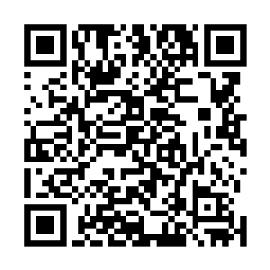 人身上所有的细胞全部新陈代谢换一遍只需要七年的时间二维码生成