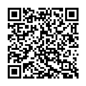 人面鲲鹏大概是这个世界上最受神灵青睐的物种二维码生成