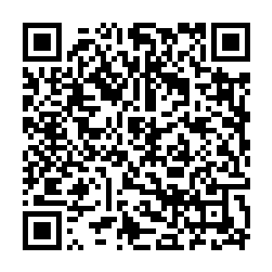 亿万道比刚才更粗壮和明亮百倍的光柱瞬间将整片星海都染成白茫茫一片二维码生成