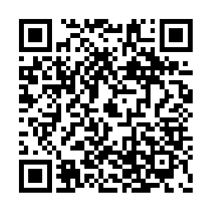 什……什么……八宝黄心花就在金兄的家族里面二维码生成