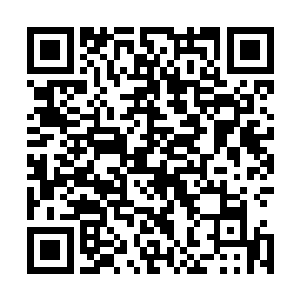 什么 你是说 夜枭并沒有中计 他的实力 远超过估计 二维码生成