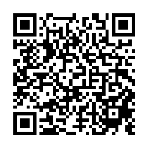 什么主角配角……其实这就是一个魔灵认主的过程呀……二维码生成