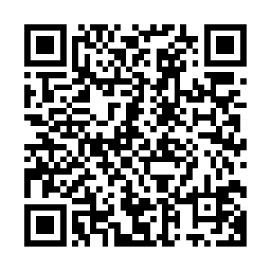 什么兽性基因与人体结合之类的这种试验我们是绝对不会做的二维码生成