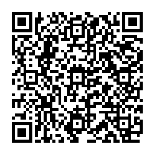 什么叫公开挖人那些人都是我兄弟的人没看到他们几个过来就叫我兄弟名字么你不放回来二维码生成