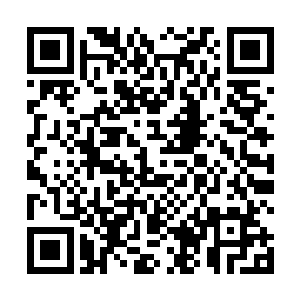 什么地上的天上的水里的林烽都准备了一些放置在里面二维码生成