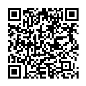 什么情况没有鬼出来干我这他么的我被鬼给无视了天杀的二维码生成