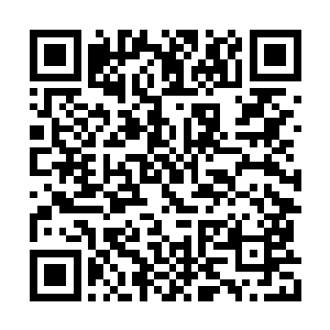 什么拥抱都没有了反而是对着这狄丽雅伸出双手二维码生成