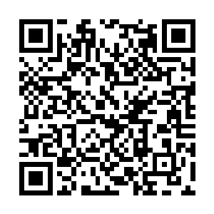 什么探子竟然在被抓之后还能心安理得的呼呼大睡二维码生成