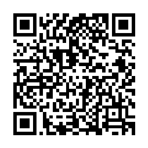 什么时候……他已经能通过幽光屏判断这几台机器人的情绪了二维码生成