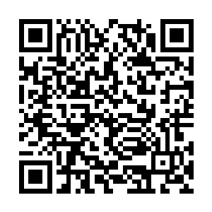 什么时候小小的人族也敢击杀他飞翼天狼一族之人二维码生成