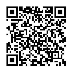 什么时候库尔德武装也有这么强的弹药支撑量了二维码生成
