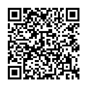 什么时候看到向家的大公子如此的毕恭毕敬斟茶二维码生成