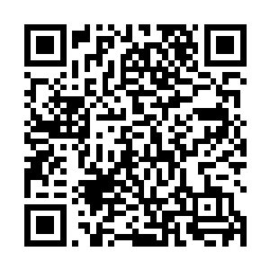 什么时候连一些路边的阿猫阿狗都敢上前来让他停手了二维码生成