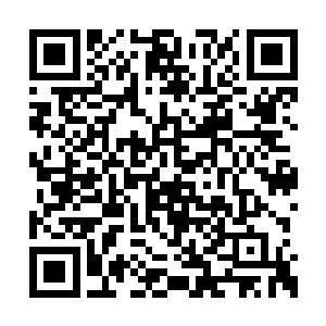 什么沙笋冻和撞在胡须泡沫罐里的酒都撒了一地二维码生成