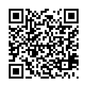 什么特产都没有的东南半岛大动心机二维码生成