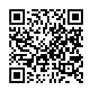 什么猫啊狗啊老虎啊狮子虫子啊之类的二维码生成