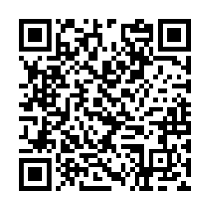 什么生死未卜那两个成员早就已经回到组织里面了二维码生成