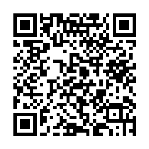 什么科幻片中的绿巨人跟他一比根本就只是一只蝼蚁二维码生成