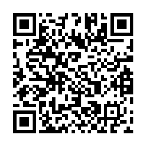 什么竟然有人花费一百万人民币打赏一本网络疯了吧不管二维码生成