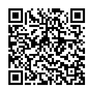 什么第一天才第一少年的名头好像不值钱一样都往作者头上套二维码生成