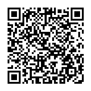 什么美女主播为了人气和话题度露球露大腿甚至于露内裤真空上阵屡见不鲜二维码生成