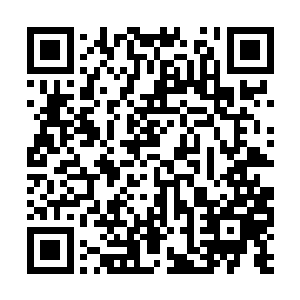 什么蛇精病……每天都可以在小四嘴巴里蹦出不少二维码生成