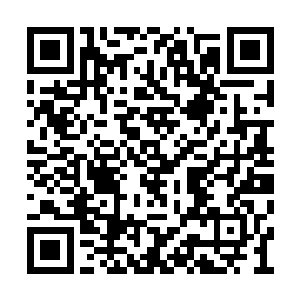 什么证据不证据的……拥有数百次被捕经验的我二维码生成