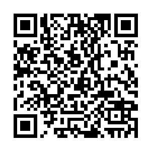 仅三个多月的两只小狗己经能见到那种壮实猛劲儿了二维码生成