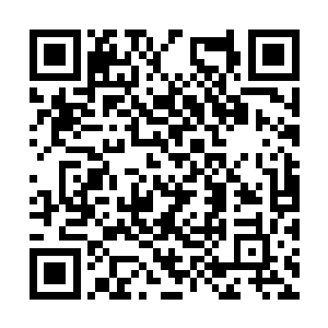 仅仅一年时间就成为了当地小联盟的年度最佳球员二维码生成