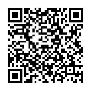 仅仅不到三四百人的新军还真的难以拿下摄政王府二维码生成