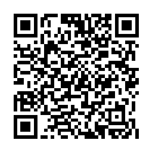 仅仅凭借他所知道的这三条已经足够他们冒险了二维码生成