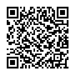 仅仅只剩下一个苍老却格外洪亮的声音还回荡着二维码生成