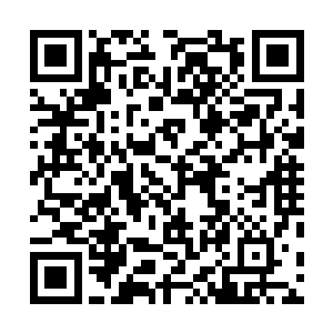 仅仅只在暴君坚硬的头骨上留下了一个深深地锯齿状牙印二维码生成